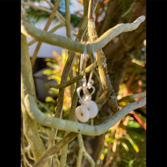 Authentic Hawaiian Puka shell earrings - Picture 2 of 6